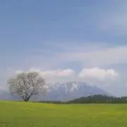 あこ♪プロフ確認！
