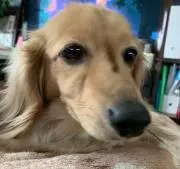 マサやん