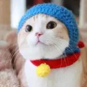 Mの画像