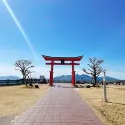 SY⭐︎の画像
