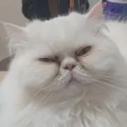 おさむの画像