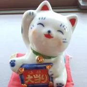 tvoの画像