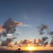 ビオーレ