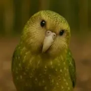 尊蔵院の画像