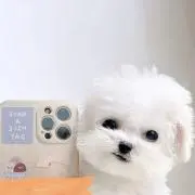 ゆのんの画像