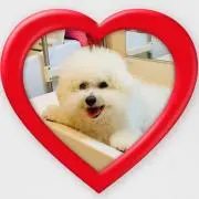 まるの画像