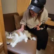 みみ