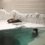 とし