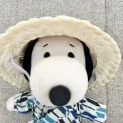 Dan-ielleの画像