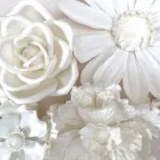 ・ᴗ・ )੭''