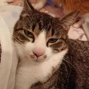にあちゃん
