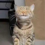 nao