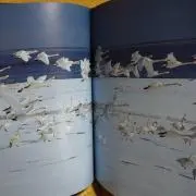 プロフ必読！いきなりのご購入ご遠慮下さいの画像