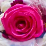 エンジェル·͜·ᰔᩚの画像