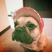 ボン
