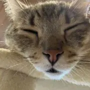 yuの画像