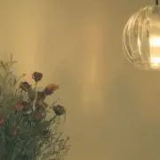 aoの画像