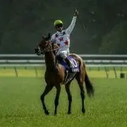 シンハリーズの画像