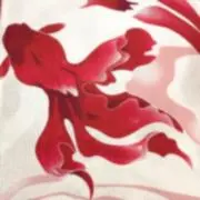 金魚の画像