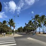 たけの画像
