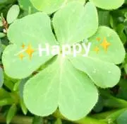 ✨ nijiiro HAppy✨の画像
