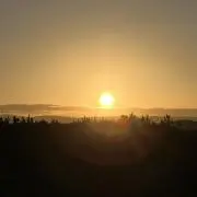 hyd.
