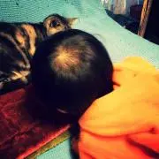 ひろmam