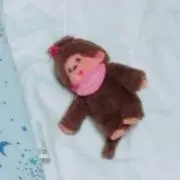 春