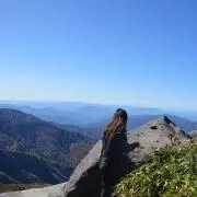 risa...の画像