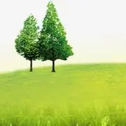 Image of KHY