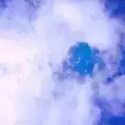 おもちの画像