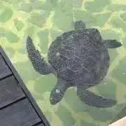 にこる3103の画像