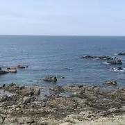 はるはるの画像