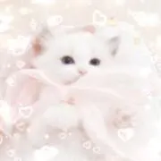 しろねこ@即購入◎の画像