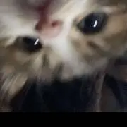 サイコロ