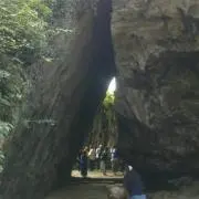 ナベタコの画像