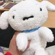 ぱなおの画像