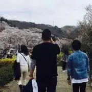 t.mの画像