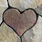 こまちの画像