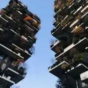 Kanyuの画像