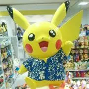 ヤマノウエの画像