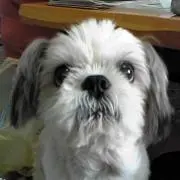 TAKの画像