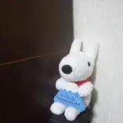 つむじの画像