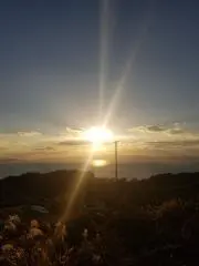 モカの画像