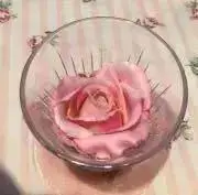 みはる⭐︎プロフィールお読みくださいの画像