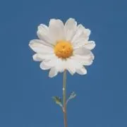 ぐうの画像