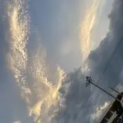 即日発送