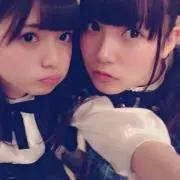 ジョリーモンタナ