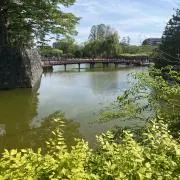 ナンジャモのハラバリー-EX 280HP 雷タイプ - メルカリ