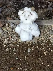 まるじんまるの画像